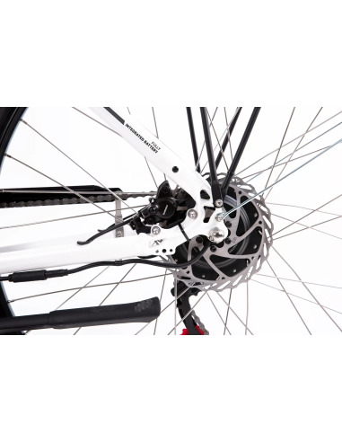 Rower elektryczny PROECO WAVE BF 1.0 R 504WH | Biały