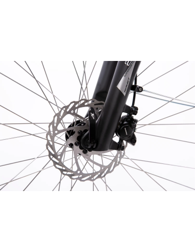 Rower elektryczny PROECO WAVE BF 1.0 R 504WH | Biały