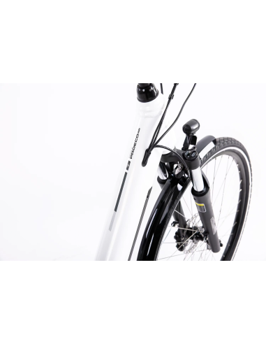 Rower elektryczny PROECO WAVE BF 1.0 R 504WH | Biały