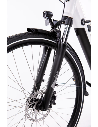 Rower elektryczny PROECO WAVE BF 1.0 R 504WH | Biały