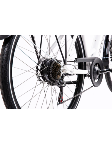 Rower elektryczny PROECO WAVE BF 1.0 R 504WH | Biały