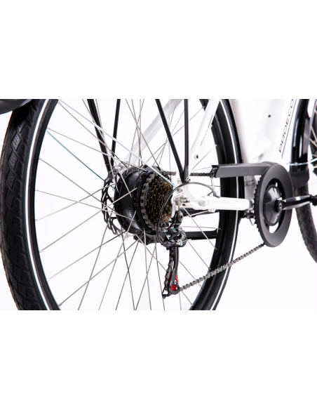 Rower elektryczny PROECO WAVE BF 1.0 R 504WH | Biały