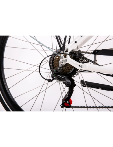 Rower elektryczny PROECO WAVE BF 1.0 R 504WH | Biały