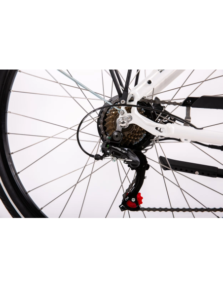 Rower elektryczny PROECO WAVE BF 1.0 R 504WH | Biały