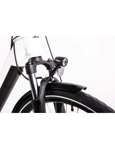 Rower elektryczny PROECO WAVE BF 1.0 R 504WH | Biały