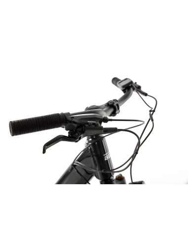 Rower elektryczny PROECO WAVE BF 1.0 R 504WH | Grafitowy