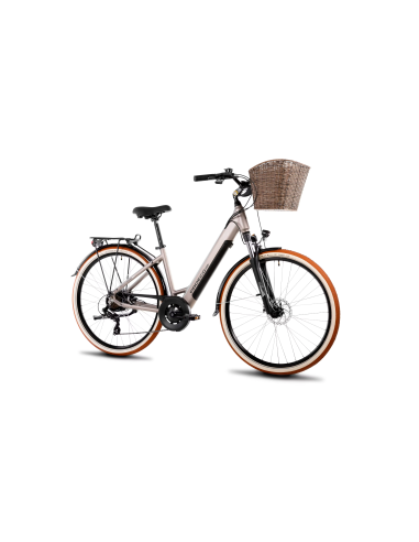 Rower elektryczny PROECO WAVE BF 1.0 R 504WH | Szampański + kosz