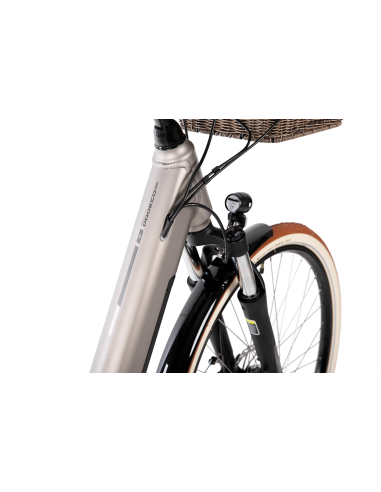 Rower elektryczny PROECO WAVE BF 1.0 R 504WH | Szampański + kosz