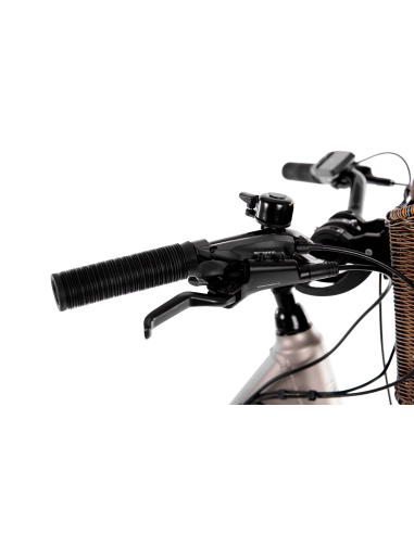 Rower elektryczny PROECO WAVE BF 1.0 R 504WH | Szampański + kosz