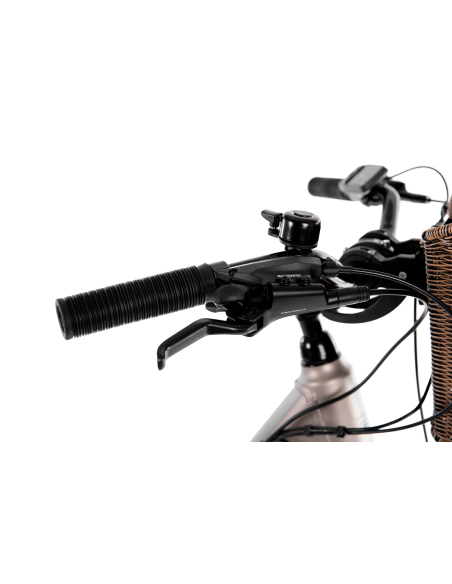 Rower elektryczny PROECO WAVE BF 1.0 R 504WH | Szampański + kosz