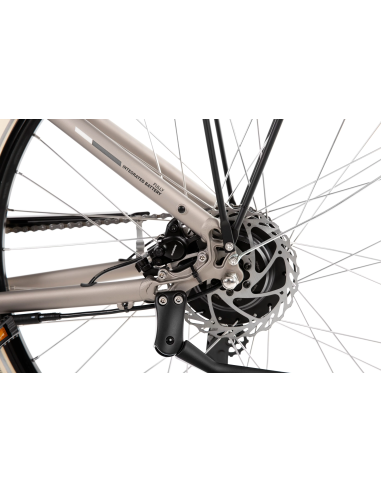 Rower elektryczny PROECO WAVE BF 1.0 R 504WH | Szampański + kosz