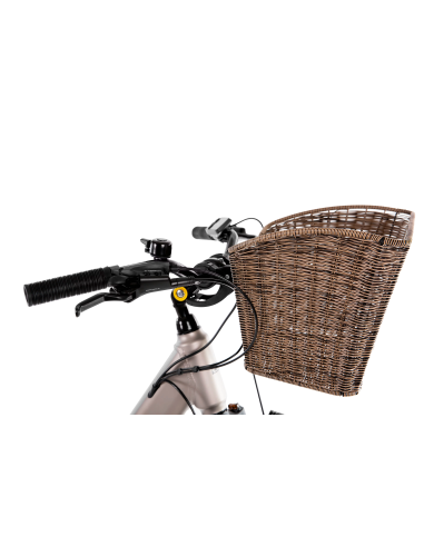 Rower elektryczny PROECO WAVE BF 1.0 R 504WH | Szampański + kosz