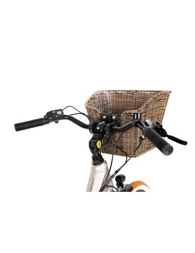 Rower elektryczny PROECO WAVE BF 1.0 R 504WH | Szampański + kosz