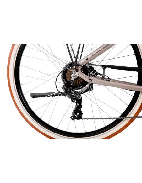 Rower elektryczny PROECO WAVE BF 1.0 R 504WH | Szampański + kosz