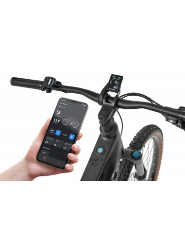 Rower elektryczny Ecobike Core Moonstone | Panasonic GXM | 36V28Ah