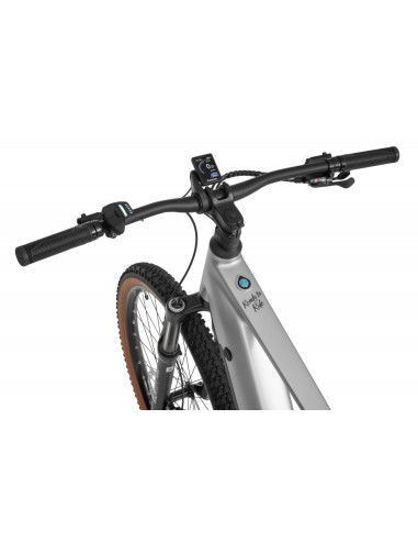 Rower elektryczny Ecobike Core Arctic Fade