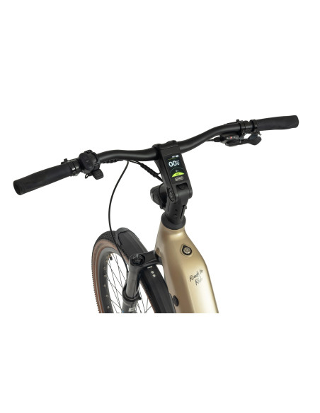 Rower elektryczny Ecobike Flex Titan | Full Suspension