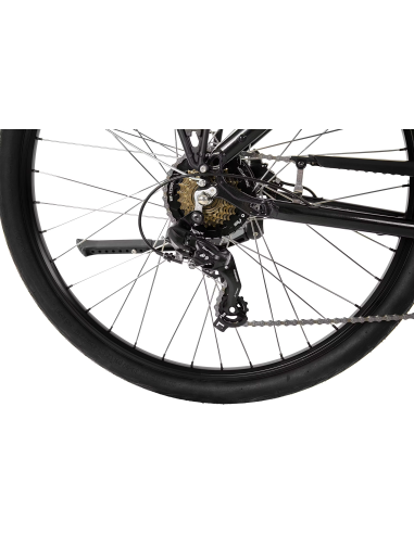 Rower elektryczny PROECO EASY 374WH | Grafitowy