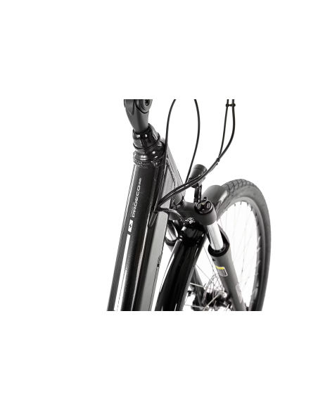 Rower elektryczny PROECO EASY 374WH | Grafitowy