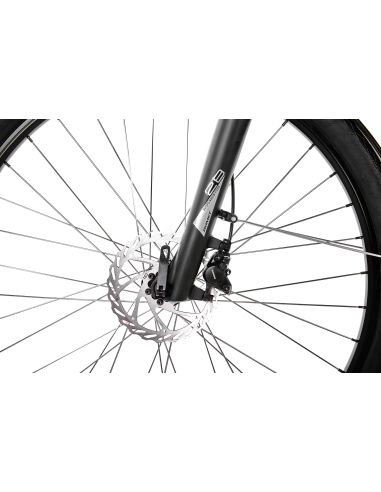 Rower elektryczny PROECO EASY 374WH | Grafitowy