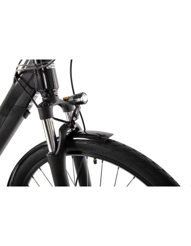 Rower elektryczny PROECO EASY 374WH | Grafitowy