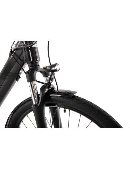 Rower elektryczny PROECO EASY 374WH | Grafitowy