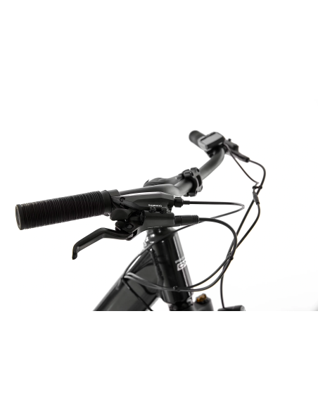 Rower elektryczny PROECO EASY 374WH | Grafitowy