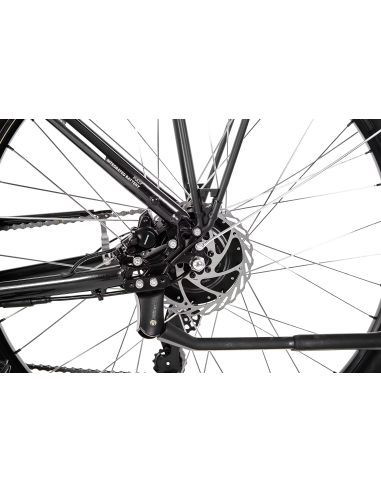 Rower elektryczny PROECO EASY 374WH | Grafitowy