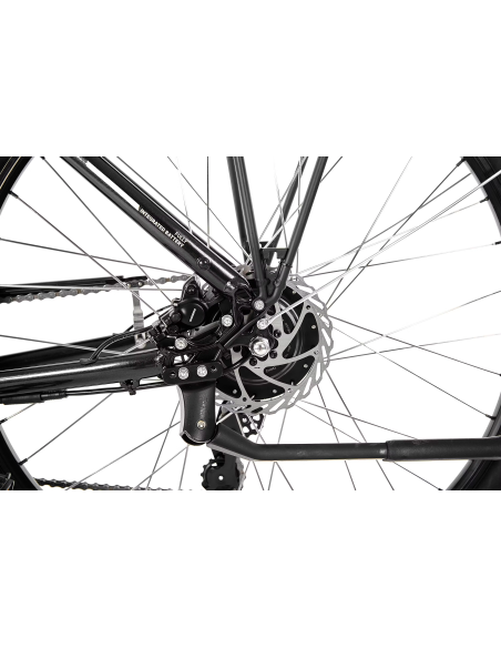 Rower elektryczny PROECO EASY 374WH | Grafitowy