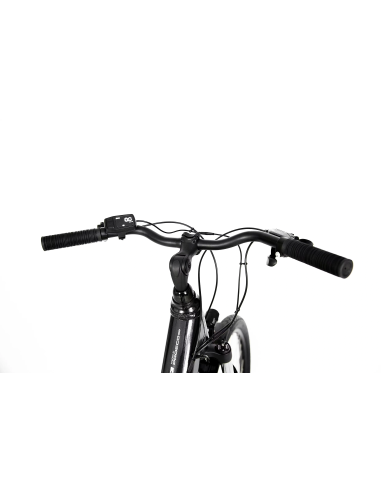 Rower elektryczny PROECO EASY 374WH | Grafitowy