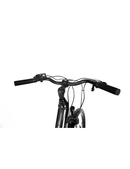 Rower elektryczny PROECO EASY 374WH | Grafitowy