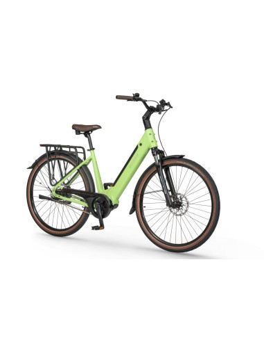 Rower elektryczny Ecobike LX 100 Automatic Green