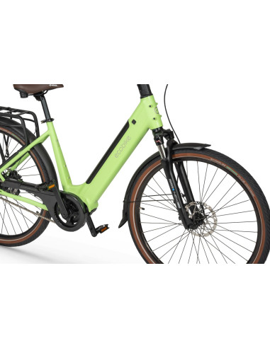 Rower elektryczny Ecobike LX 100 Automatic Green