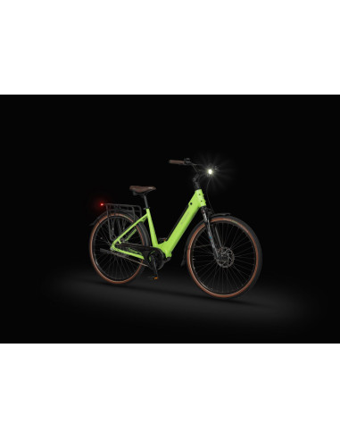 Rower elektryczny Ecobike LX 100 Automatic Green