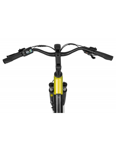 Rower elektryczny Ecobike LX 100 Lime