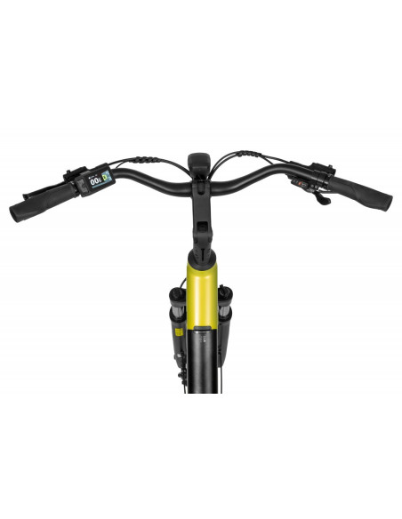 Rower elektryczny Ecobike LX 100 Lime