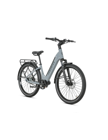 Rower elektryczny Jobobike Luxe | Srebrnoszary