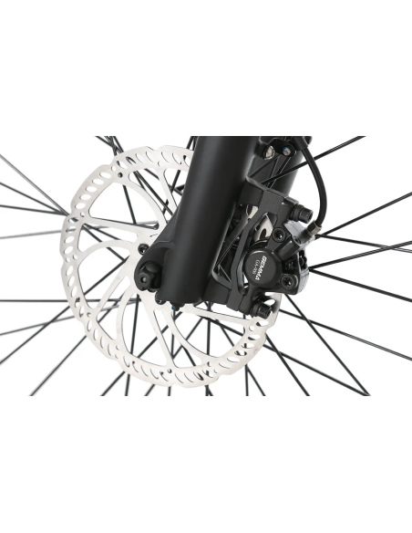 Rower elektryczny Jobobike Dyno