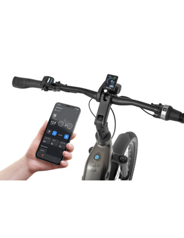 Rower elektryczny Ecobike Dare 2026 | Panasonic GXM | 28Ah Lg