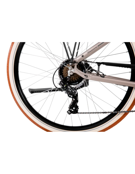 Rower elektryczny PROECO WAVE AN 1.0 504WH | Szampański + kosz