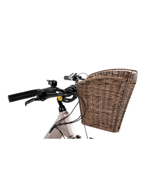 Rower elektryczny PROECO WAVE AN 1.0 504WH | Szampański + kosz