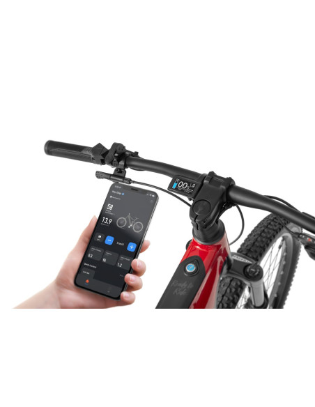 Rower elektryczny RX 500 MAX RED