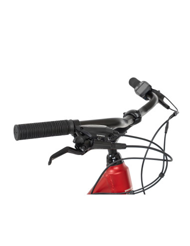 Rower elektryczny PROECO WAVE AN 1.0 26 504WH | Czerwony