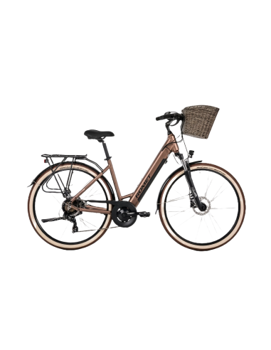 Rower elektryczny PROECO WAVE AN 1.0 504WH | Brązowy + kosz