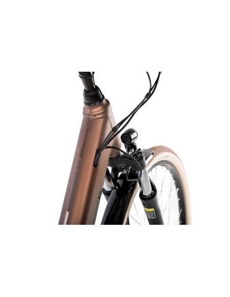 Rower elektryczny PROECO WAVE AN 1.0 504WH | Brązowy + kosz