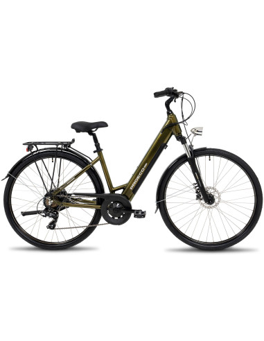 Rower elektryczny PROECO WAVE AN 1.0 504WH | Zielony