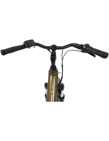 Rower elektryczny PROECO WAVE AN 1.0 504WH | Zielony