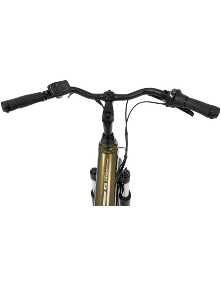 Rower elektryczny PROECO WAVE AN 1.0 504WH | Zielony
