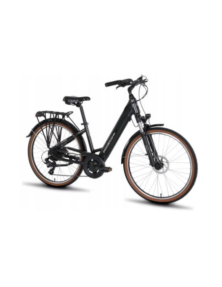 Rower elektryczny PROECO WAVE AN 1.0 26 504WH | Grafitowy