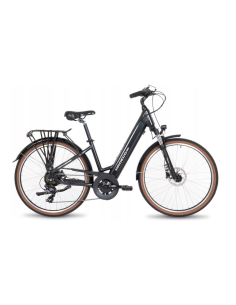 Rower elektryczny PROECO WAVE AN 1.0 26 504WH | Grafitowy